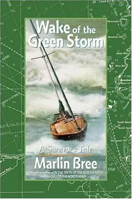 Capa de Wake of the green storm