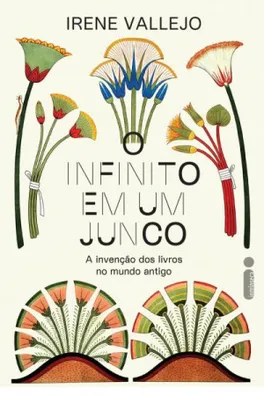 Capa de O infinito em um junco