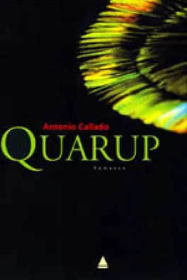 Capa de Quarup