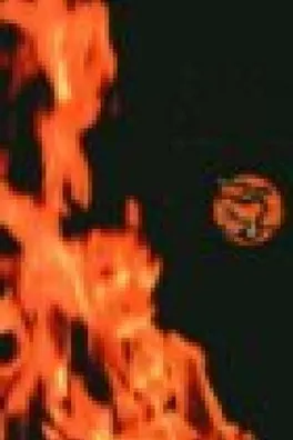 Capa de O Interior