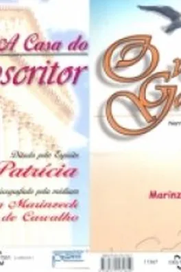 Capa de O voo da gaivota & A casa do escritor