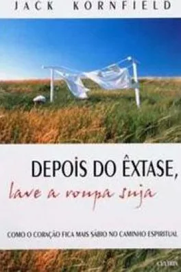Capa de Depois do Êxtase, Lave a Roupa Suja