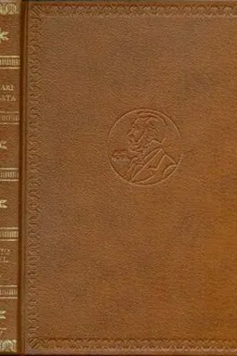 Capa de Nuvem de Pássaros brancos