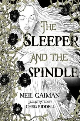 Capa de The Sleeper and the Spindle