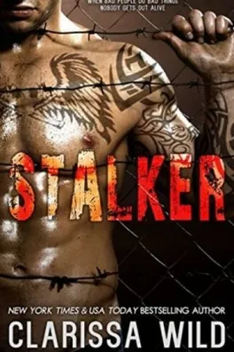 Capa de Stalker