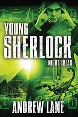 Cover of Night Break