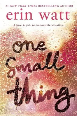 Capa de One Small Thing