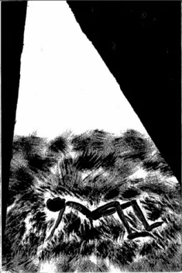 Capa de Um Artista da Fome
