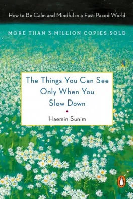 Capa de The Things You Can See Only When You Slow Down:
