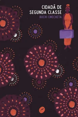 Capa de Cidadã de segunda classe
