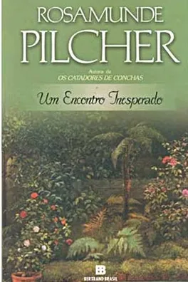 Capa de Um Encontro Inesperado