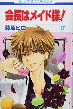 Maid-sama! Vol. 17 (Maid-sama!, #17)