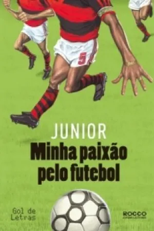 Minha paixão pelo futebol