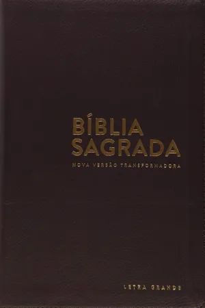 Bíblia NVT Letra Normal - Luxo (marrom)