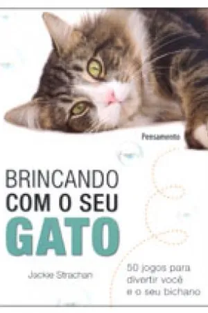 Brincando com seu Gato