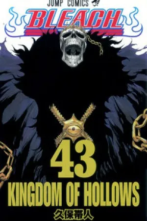 Bleach #43