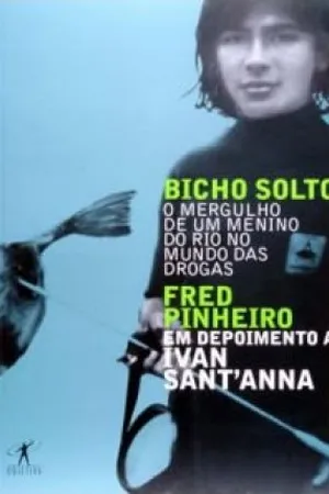 Bicho solto