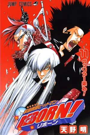 Katekyo Hitman REBORN #11