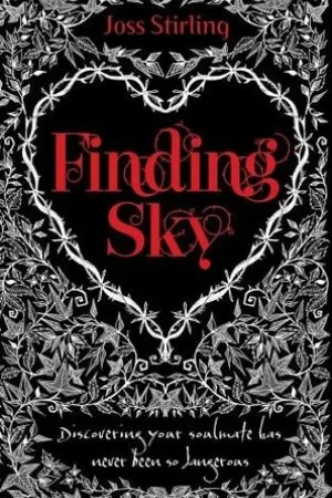 Finding Sky
