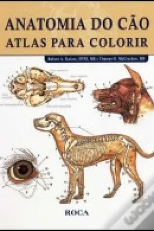 Anatomia do Cão