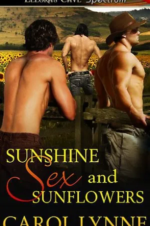 Raio de Sol, Sexo e Girassóis