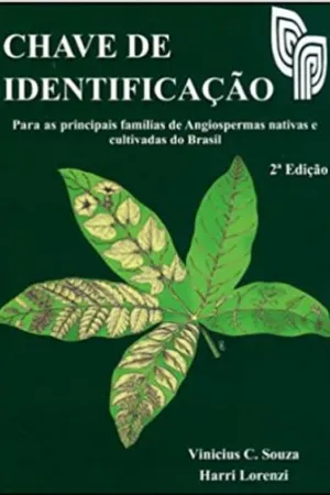 Chave de Identificação