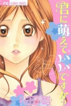 Kimi ni Moete Ii desu ka?