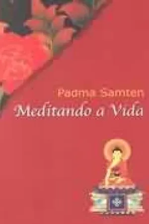 MEDITANDO A VIDA