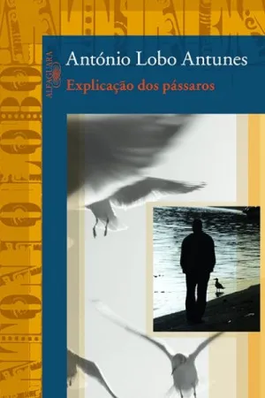 Explicação dos pássaros