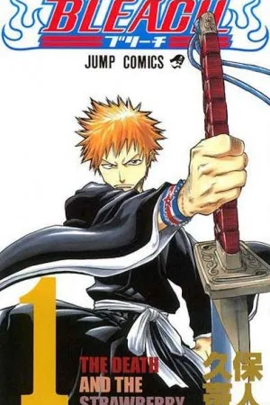 Bleach #01