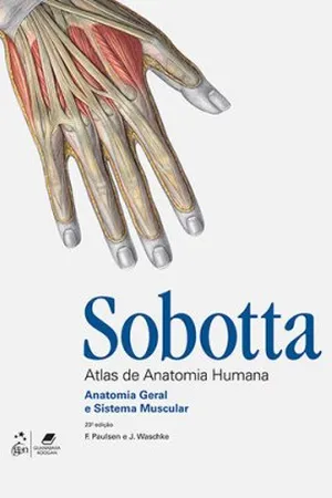 Sobotta: Atlas de Anatomia Humana (Volume 1)