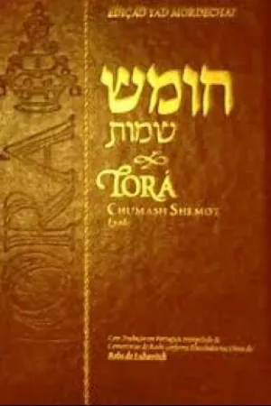 Torá (Bereshit)