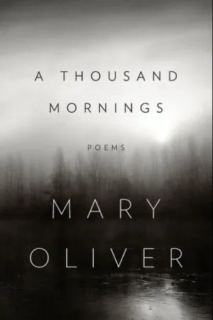 A Thousand Mornings