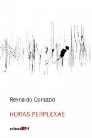 Horas Perplexas