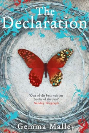 The Declaration