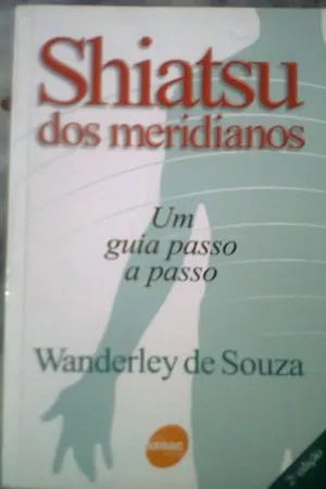 Shiatsu dos Meridianos