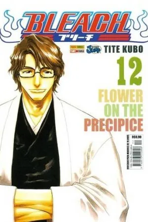 Bleach #12