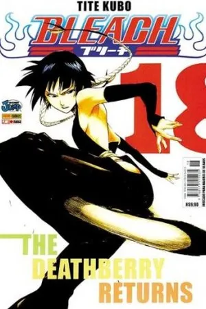Bleach #18