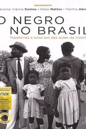 O negro no Brasil
