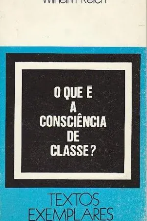 O que é a consciência de classe?