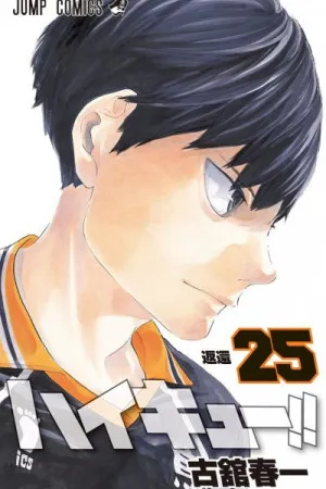 Haikyuu!! #25