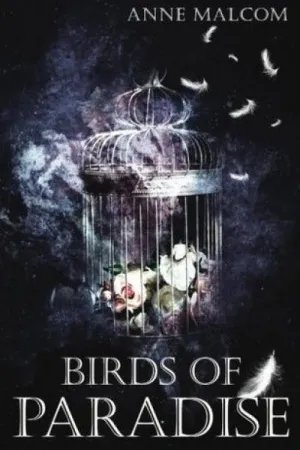 Birds of Paradise