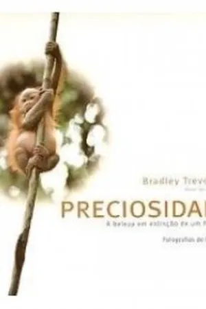 Preciosidades