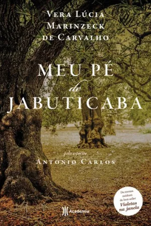 Meu pé de jabuticaba