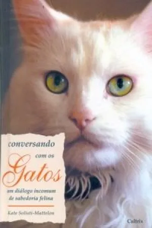 Conversando com os gatos