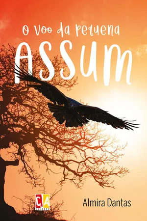 O voo da pequena Assum