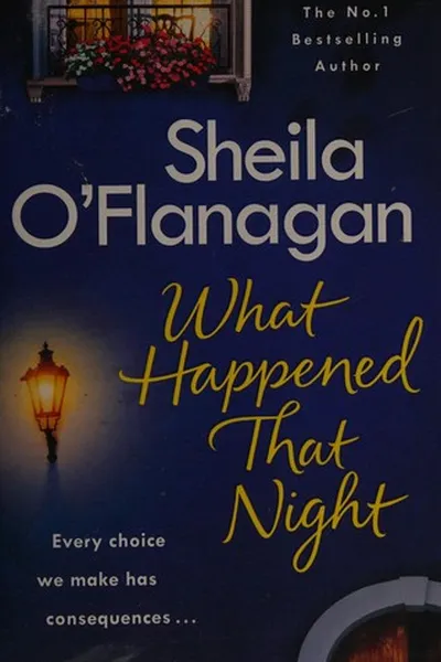 Capa de WHAT HAPPENED THAT NIGHT