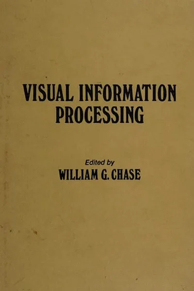 Capa de Visual information processing