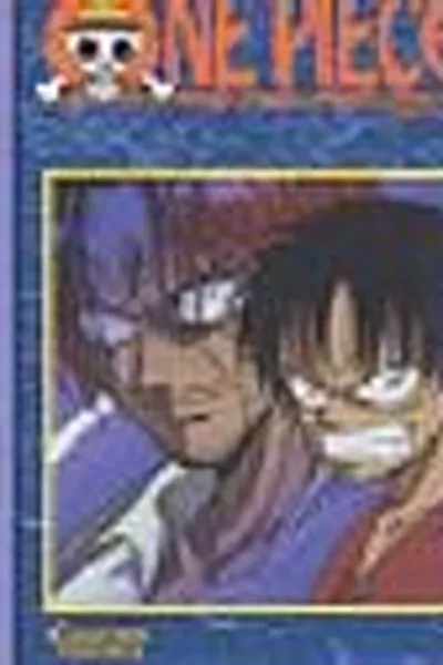 Capa de ONE PIECE 21