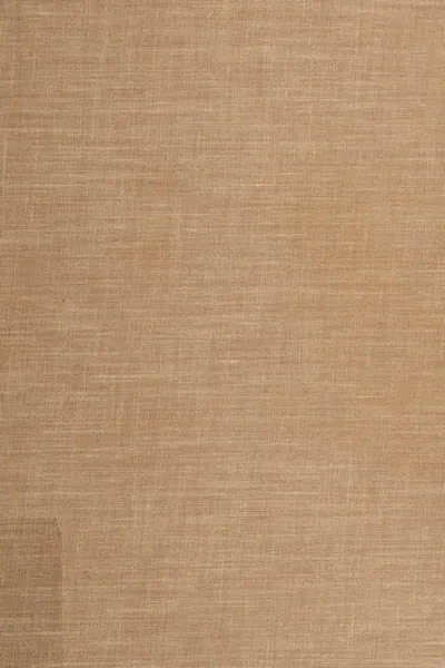 Capa de The developer's frontier